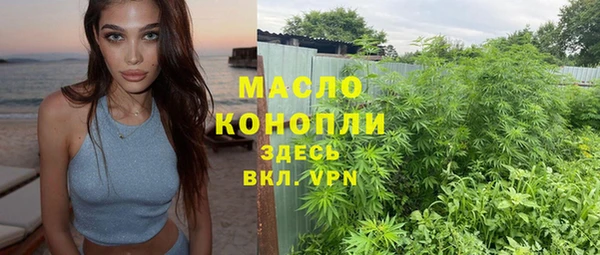 дмт Богородицк