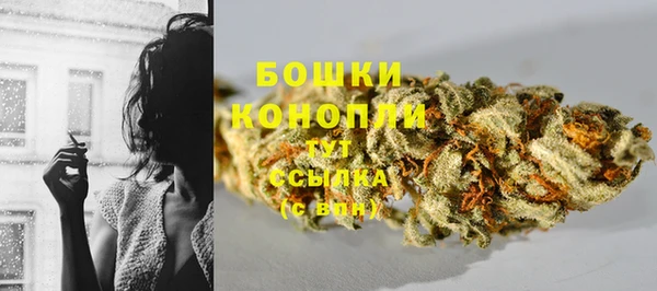 мяу мяу мука Бородино
