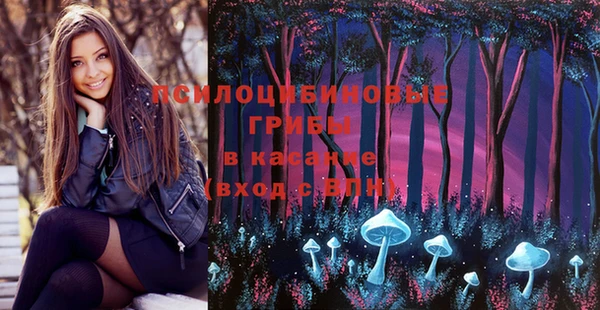 ешки Бугульма