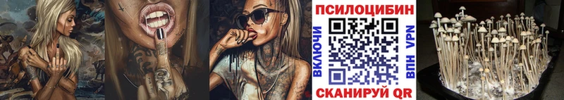 Псилоцибиновые грибы GOLDEN TEACHER  mega зеркало  Шумерля 